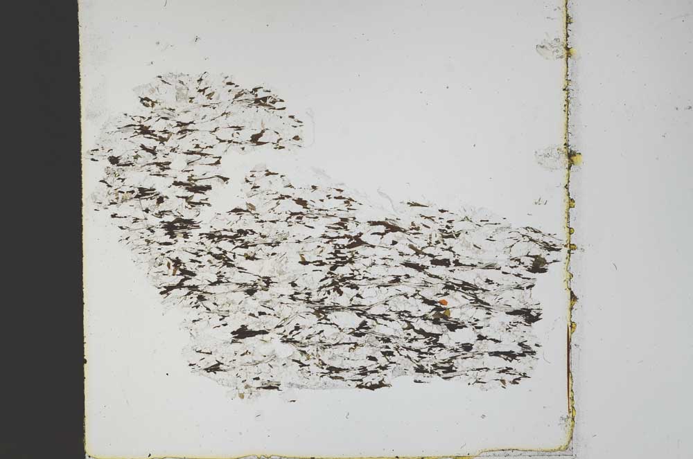 Plane Polarized, S48938