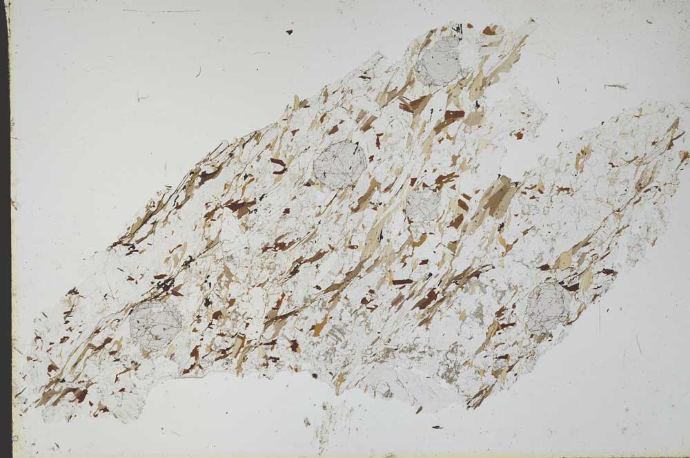 Plane Polarized, S48947