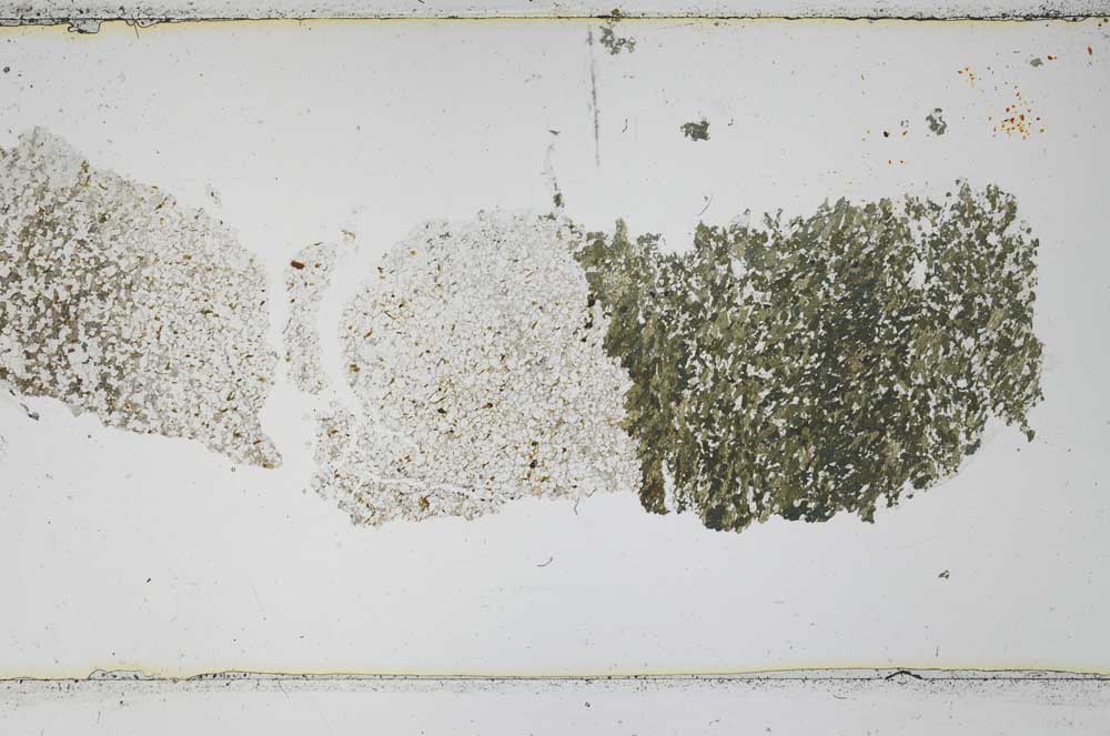Plane Polarized, S48959