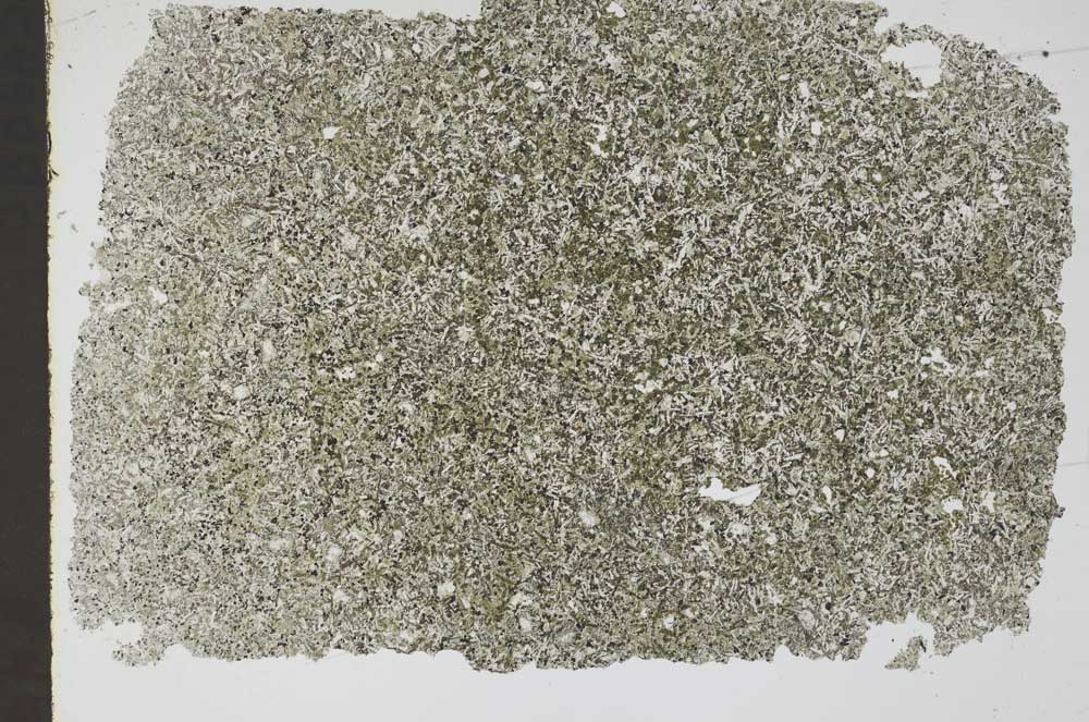 Plane Polarized, S48966