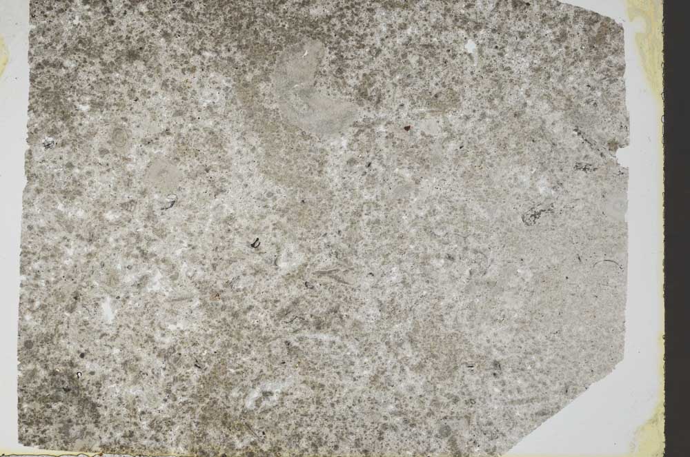 Plane Polarized, S48967