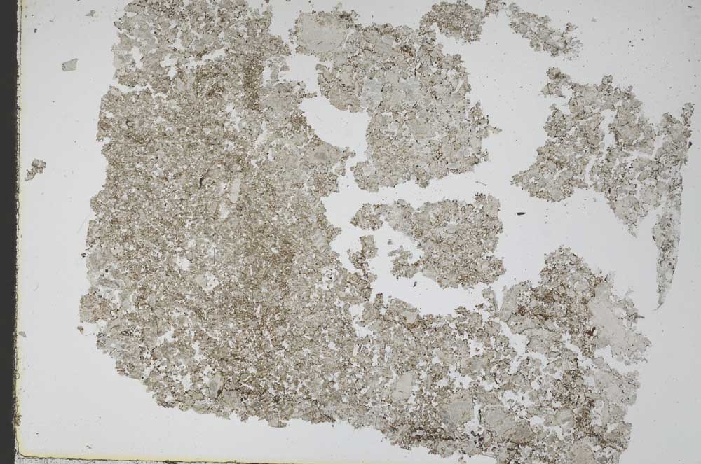 Plane Polarized, S48969