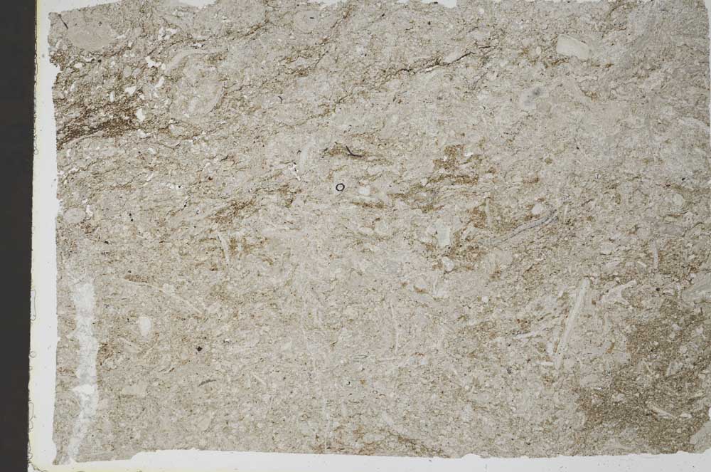 Plane Polarized, S48970