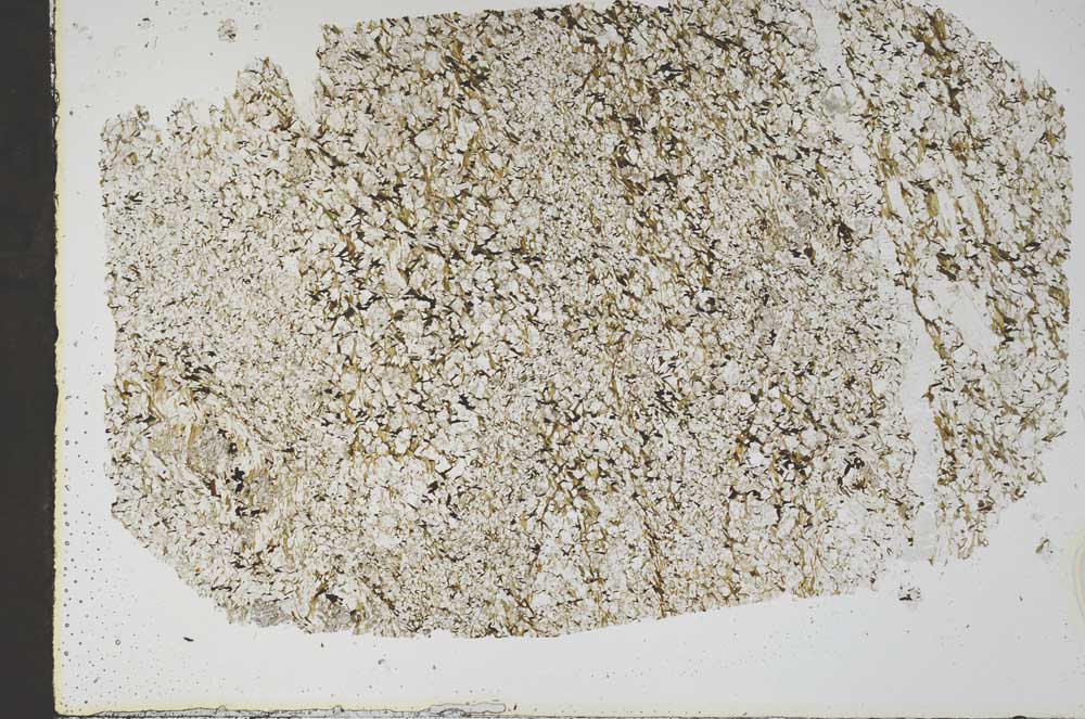 Plane Polarized, S48986