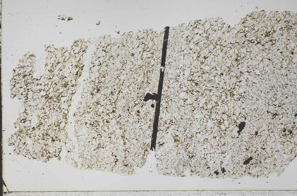 Plane Polarized, S48986/A