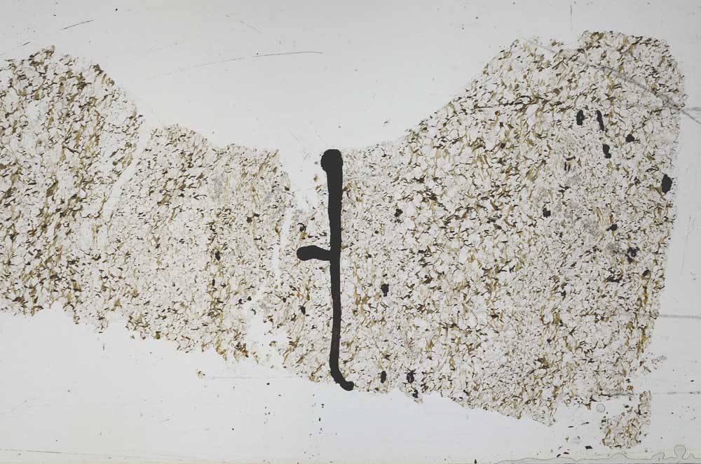 Plane Polarized, S48986/B