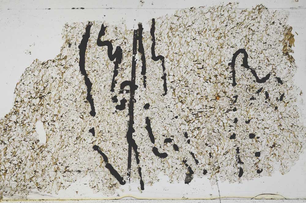 Plane Polarized, S48986/C