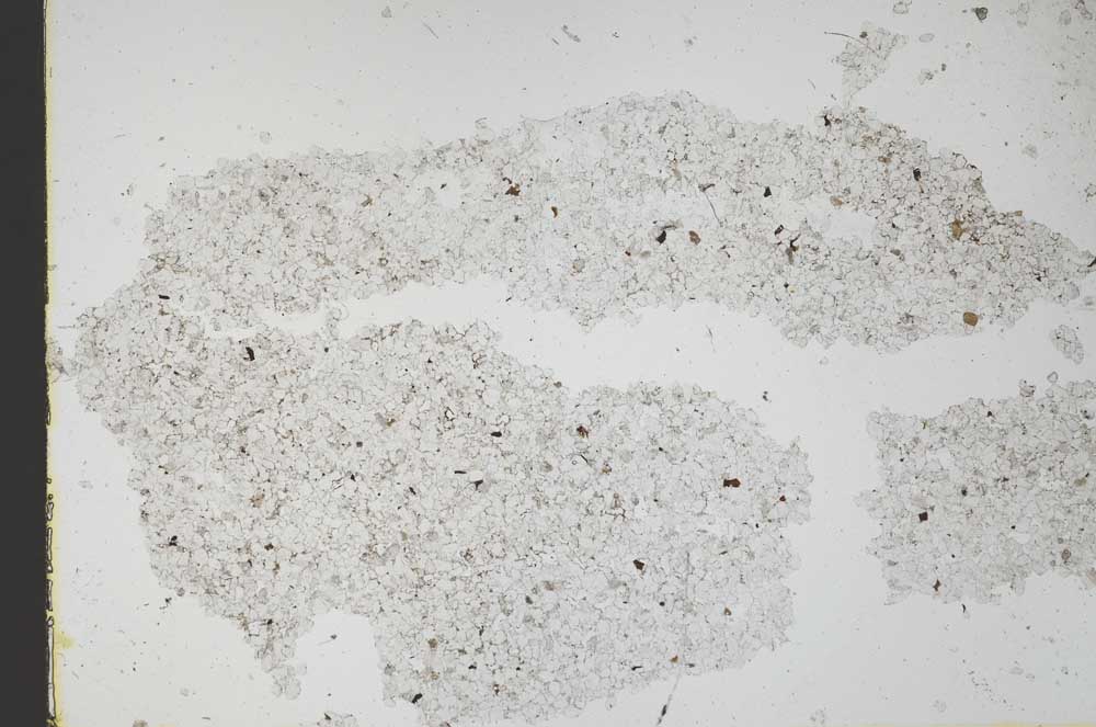 Plane Polarized, S49007