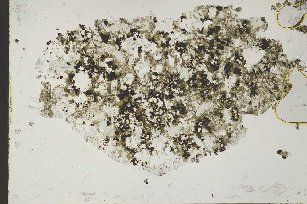 Plane Polarized, S49024