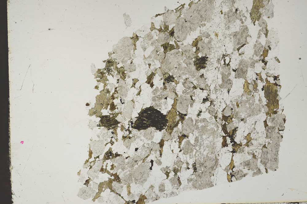 Plane Polarized, S49028