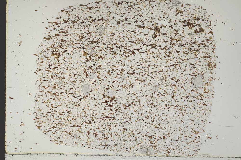 Plane Polarized, S49035