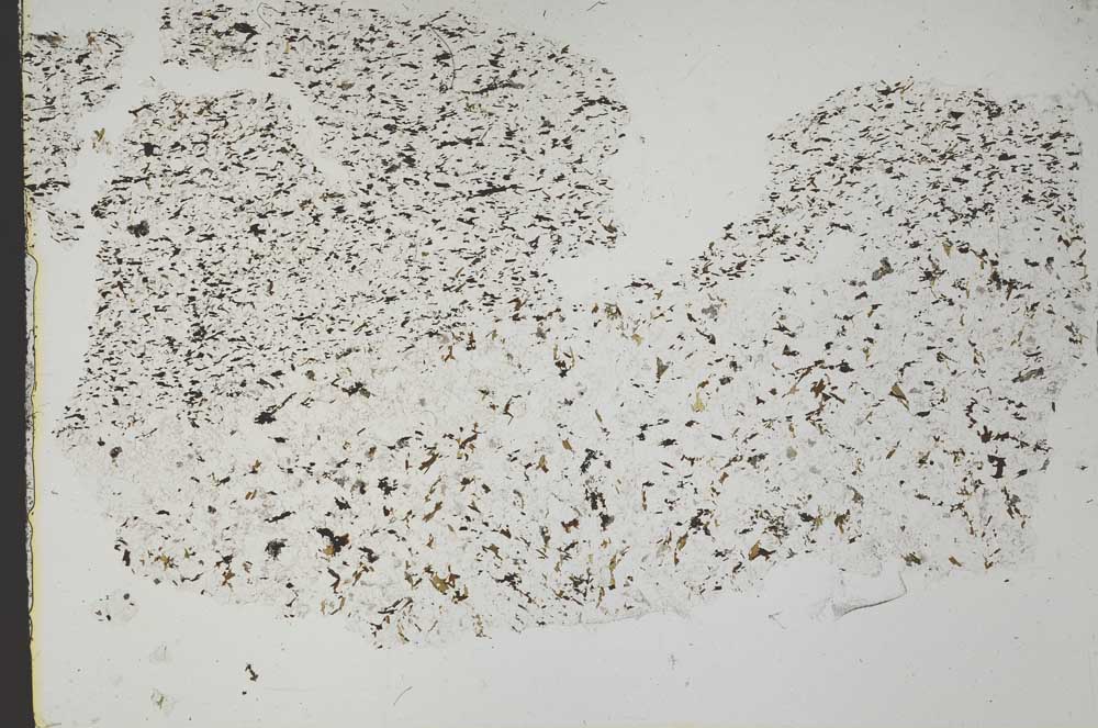 Plane Polarized, S49051