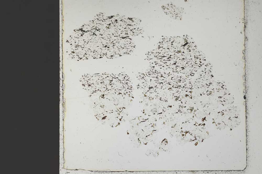 Plane Polarized, S49051/A