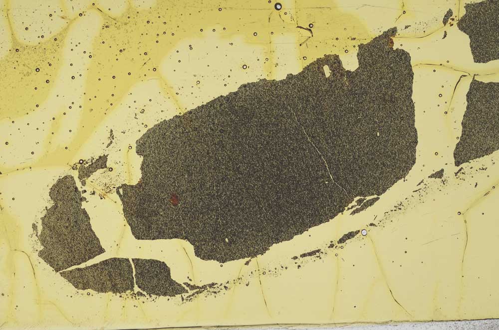 Plane Polarized, S49101
