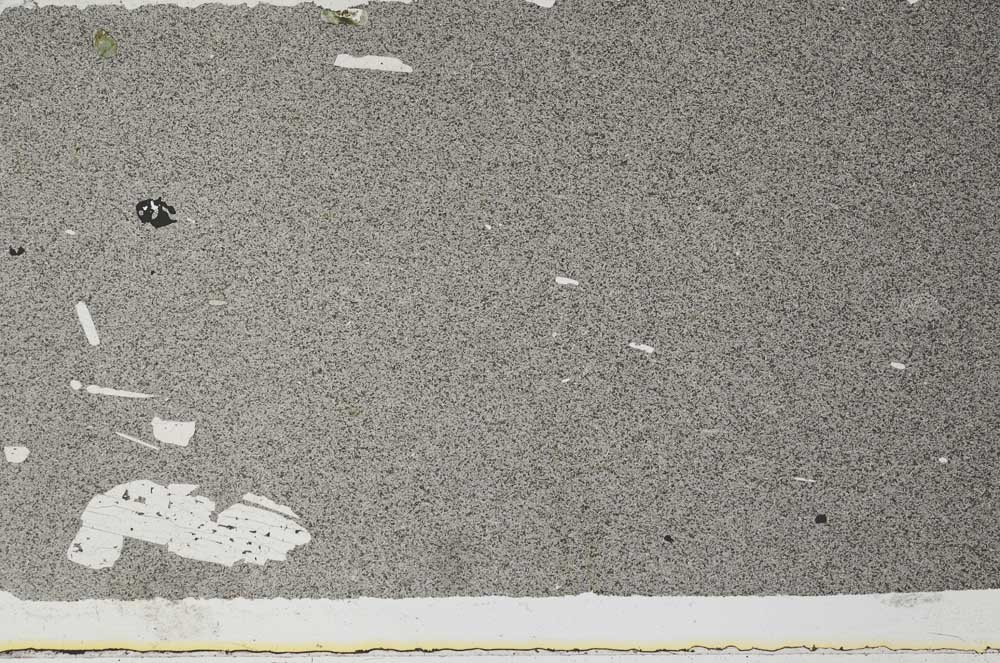 Plane Polarized, S49105