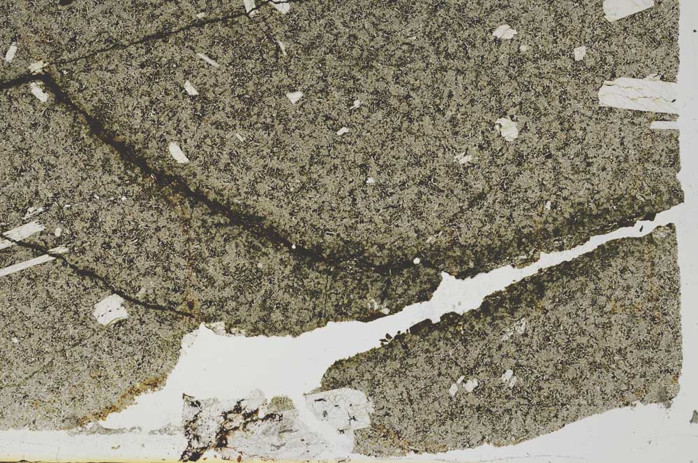 Plane Polarized, S49121