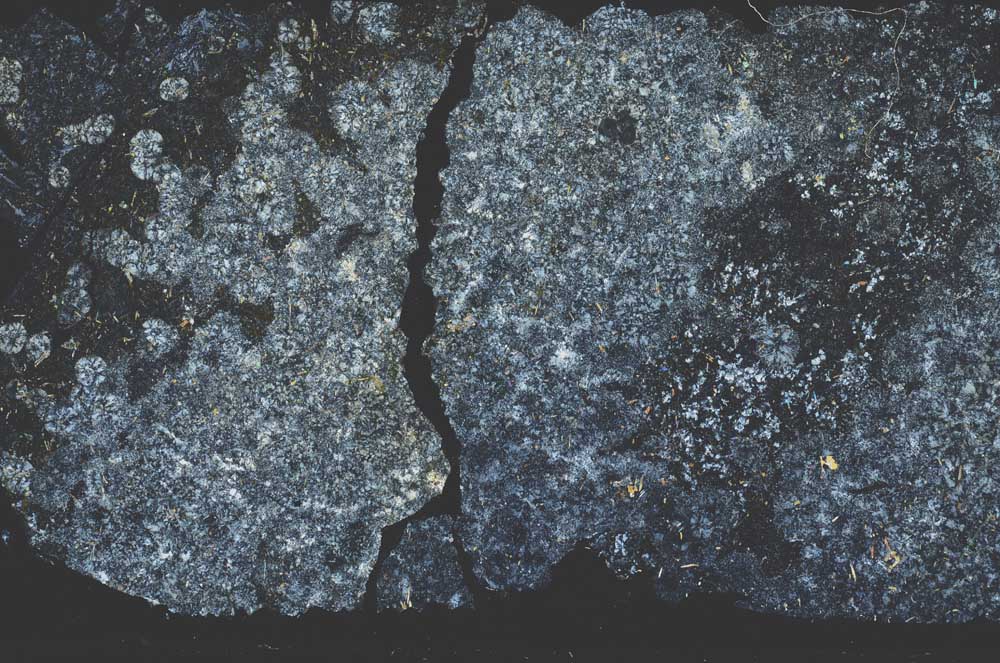 Plane Polarized, S49131/B