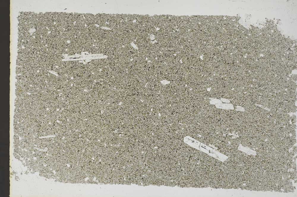 Plane Polarized, S49143
