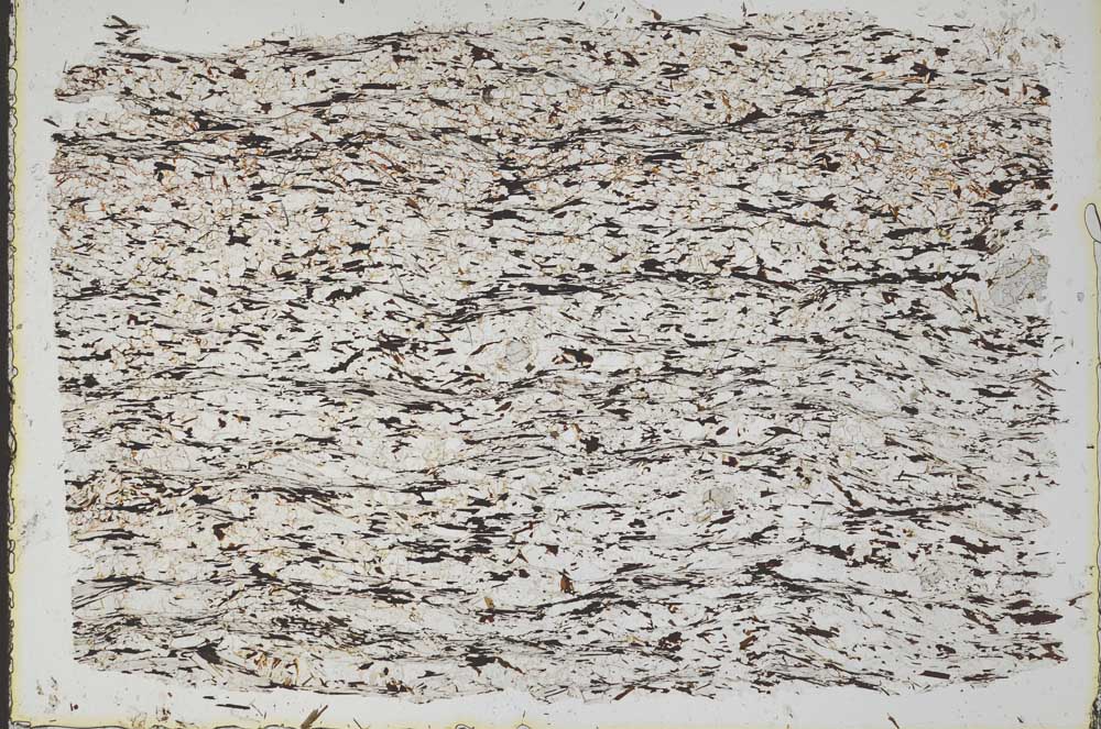 Plane Polarized, S49161