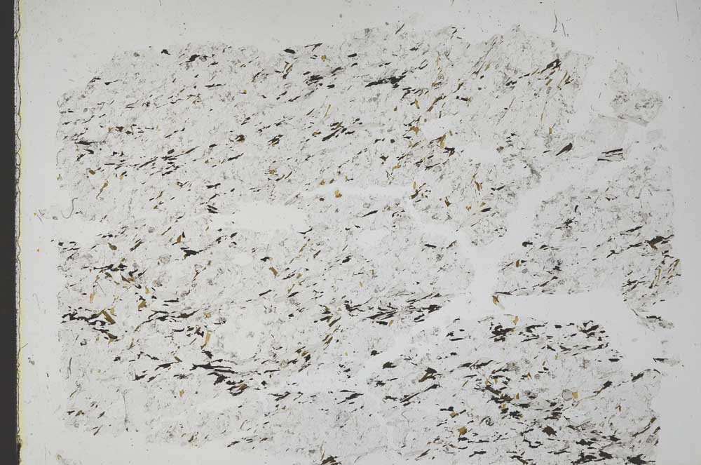 Plane Polarized, S49163