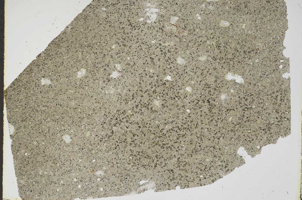 Plane Polarized, S49172