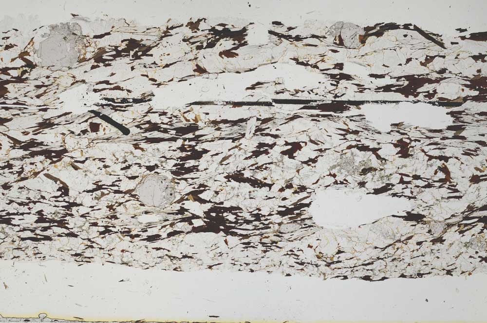 Plane Polarized, S49183