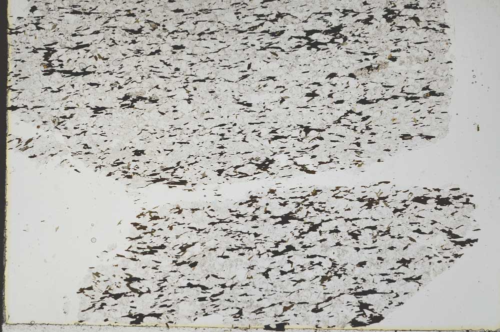 Plane Polarized, S49184