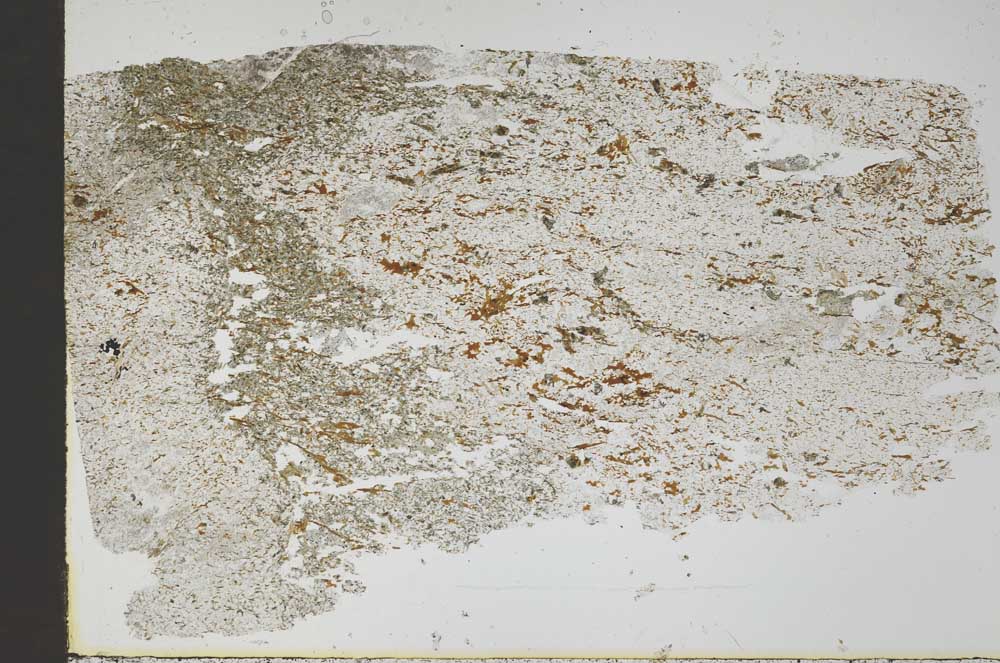 Plane Polarized, S49185