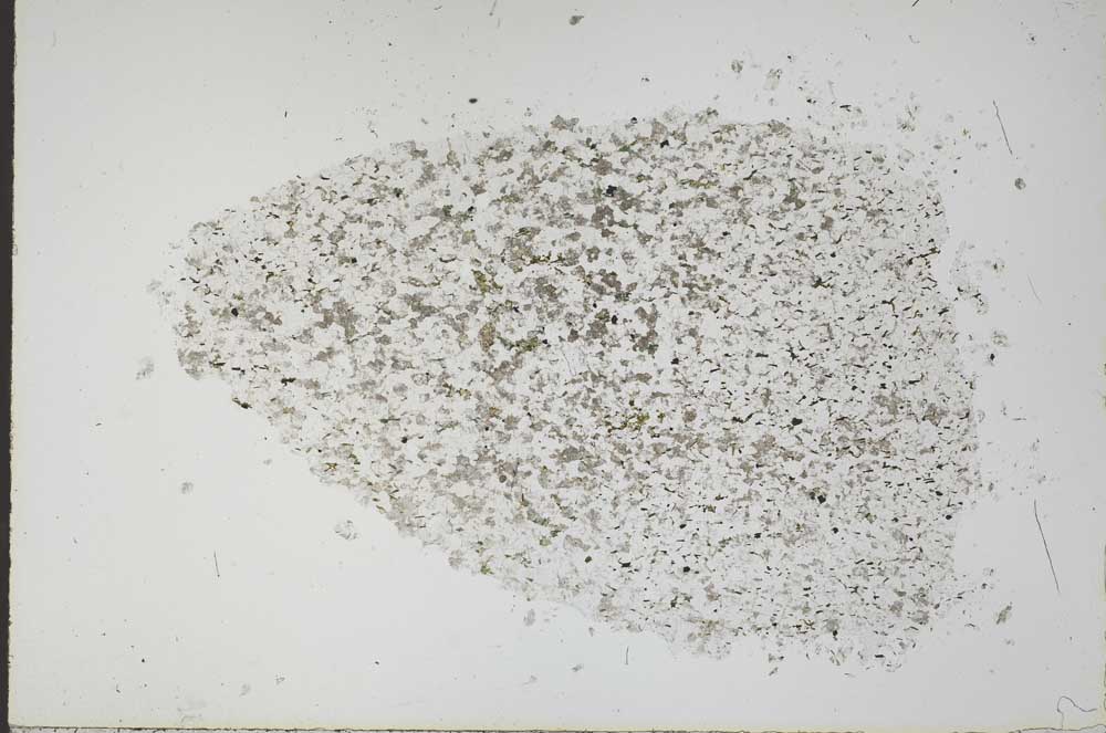 Plane Polarized, S49195