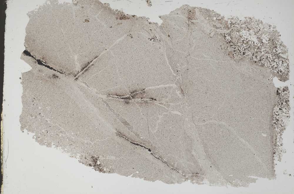 Plane Polarized, S49198