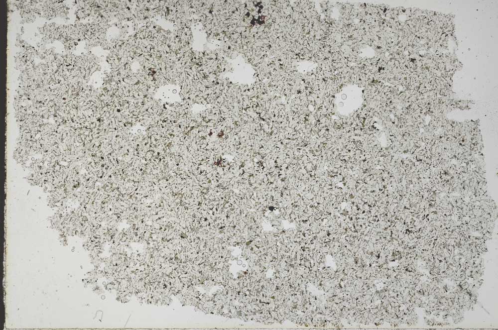 Plane Polarized, S49200