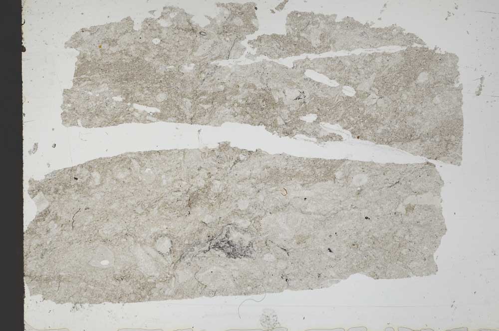 Plane Polarized, S49223/A