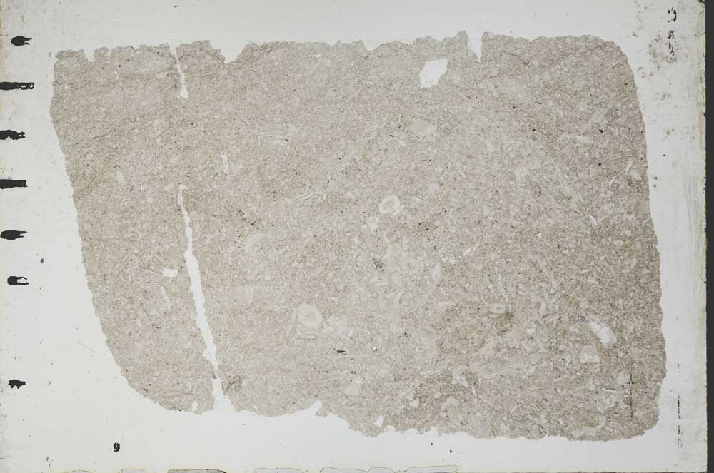 Plane Polarized, S49224