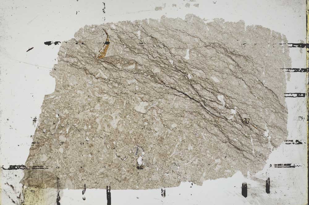 Plane Polarized, S49224/A