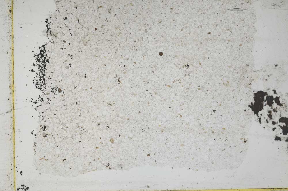 Plane Polarized, S49230