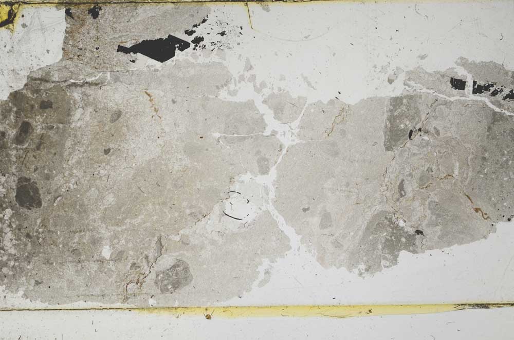 Plane Polarized, S49231