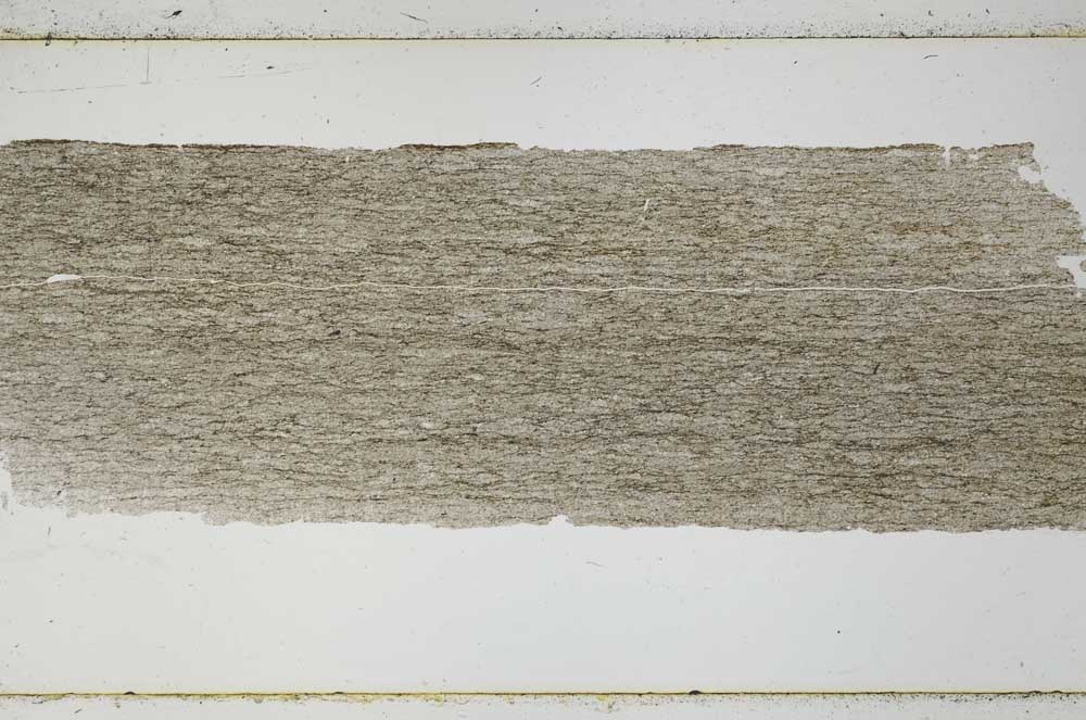 Plane Polarized, S49275