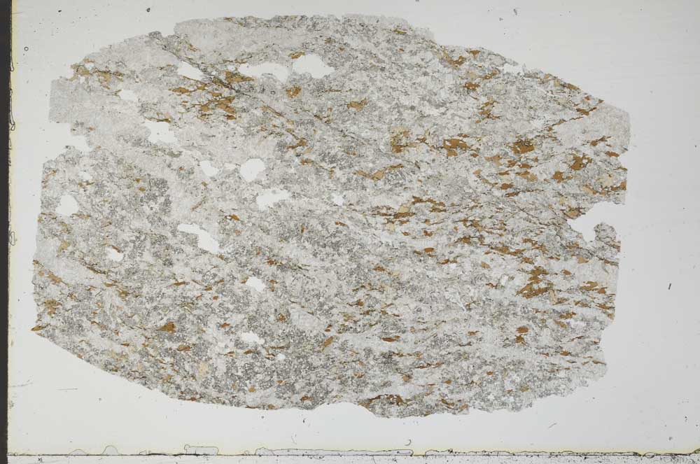 Plane Polarized, S49297