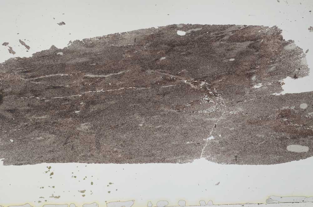 Plane Polarized, S49330