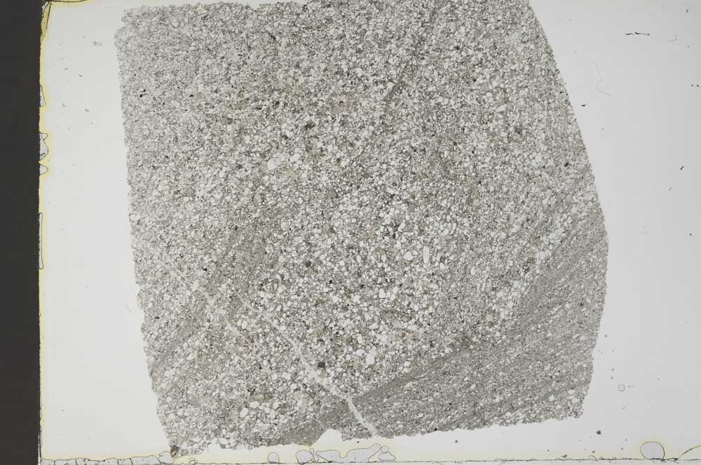 Plane Polarized, S49331