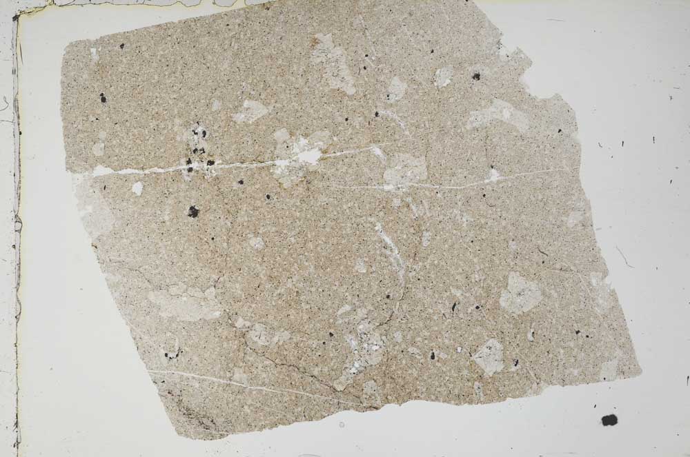 Plane Polarized, S49341