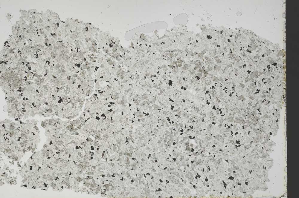 Plane Polarized, S49402