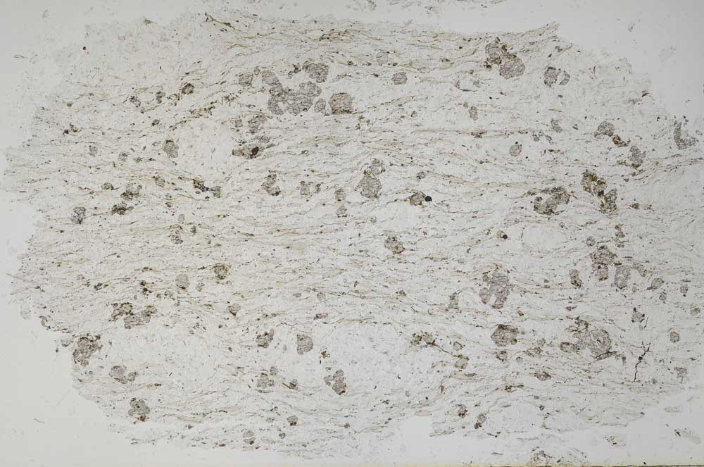 Plane Polarized, S49442