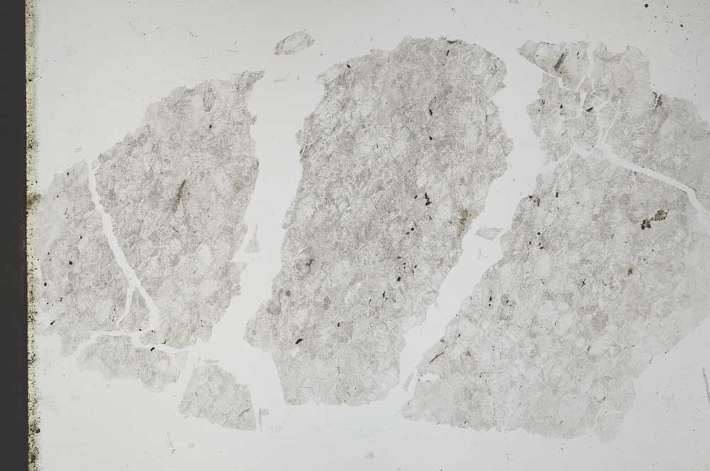 Plane Polarized, S49447