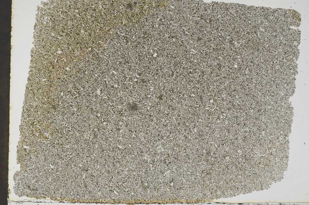 Plane Polarized, S49474