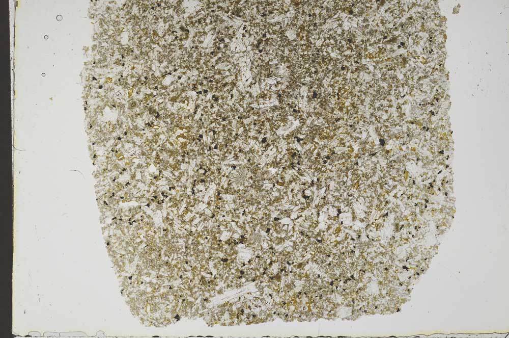 Plane Polarized, S49475