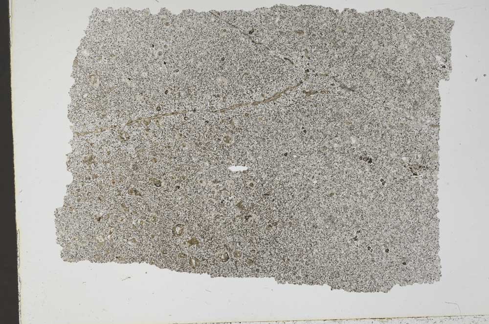 Plane Polarized, S49485