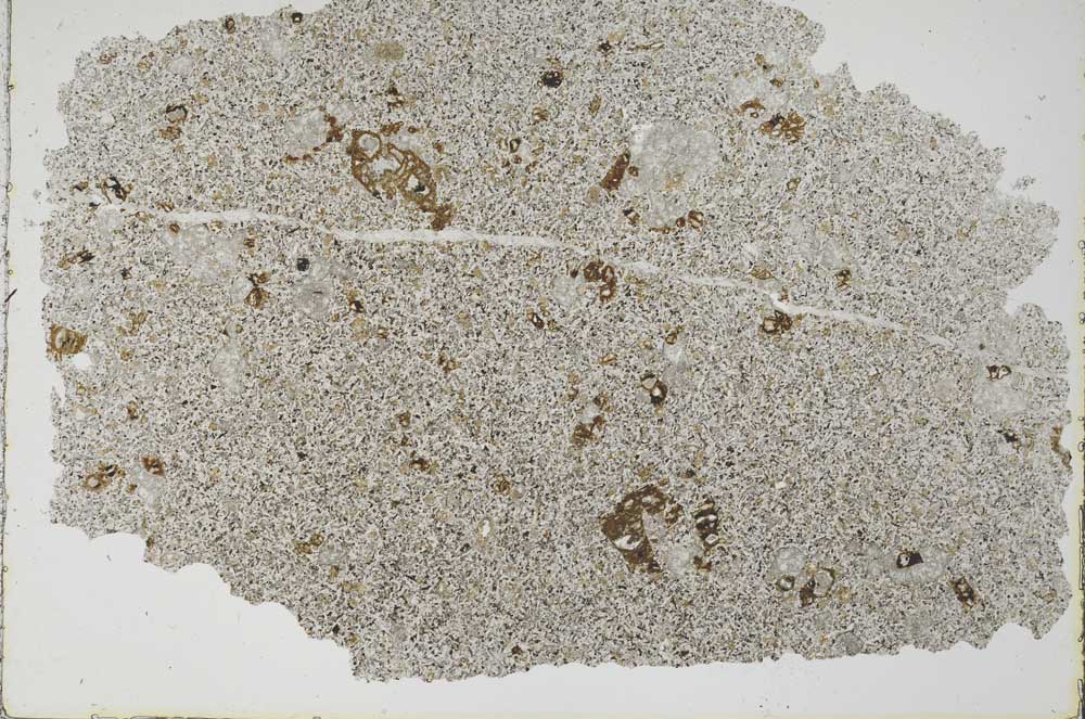 Plane Polarized, S49487