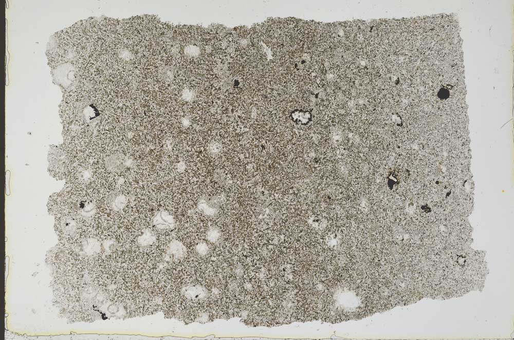 Plane Polarized, S49488