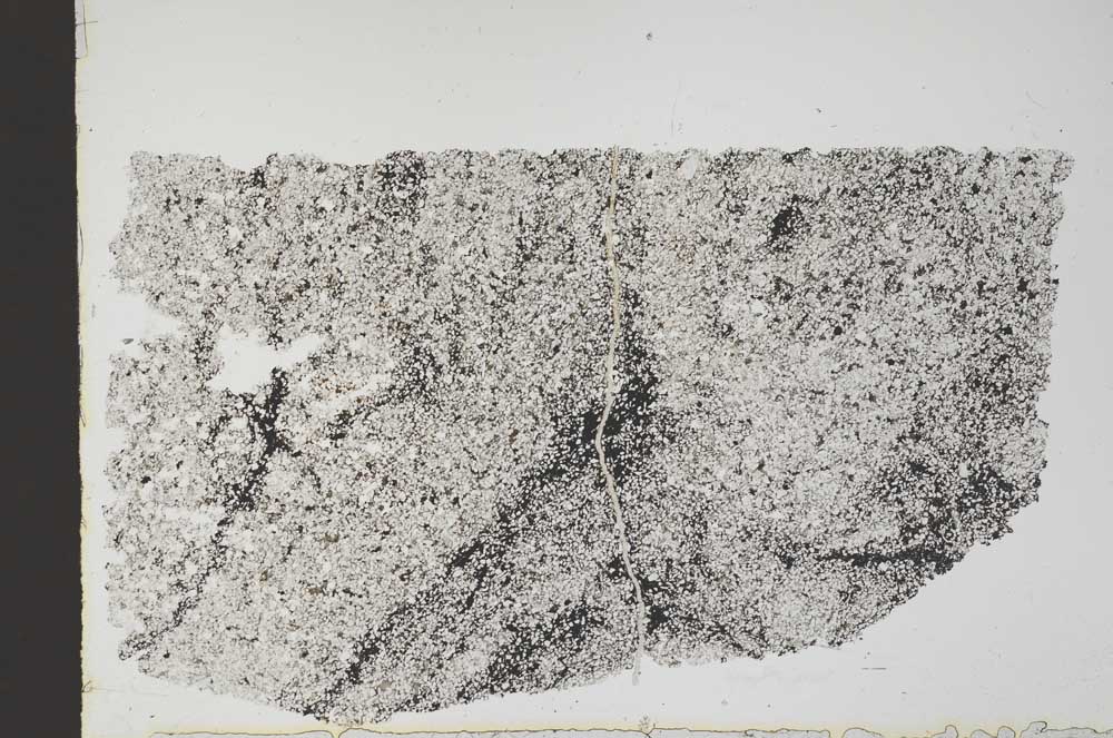 Plane Polarized, S49489